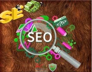 تیم سئوکار