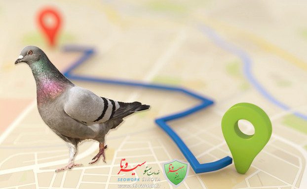 الگوریتم کبوتر گوگل