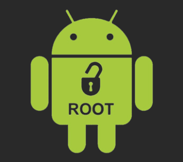 what is root